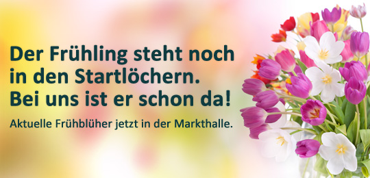 BGM Fr&uuml;hbl&uuml;her