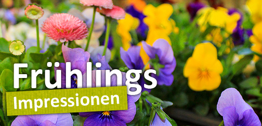 Frühlings-Impressionen