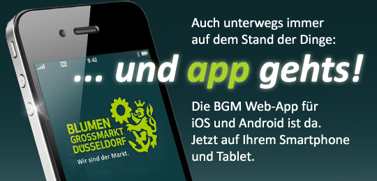 BGM Mobil