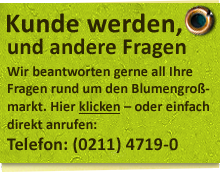 Kunde werden