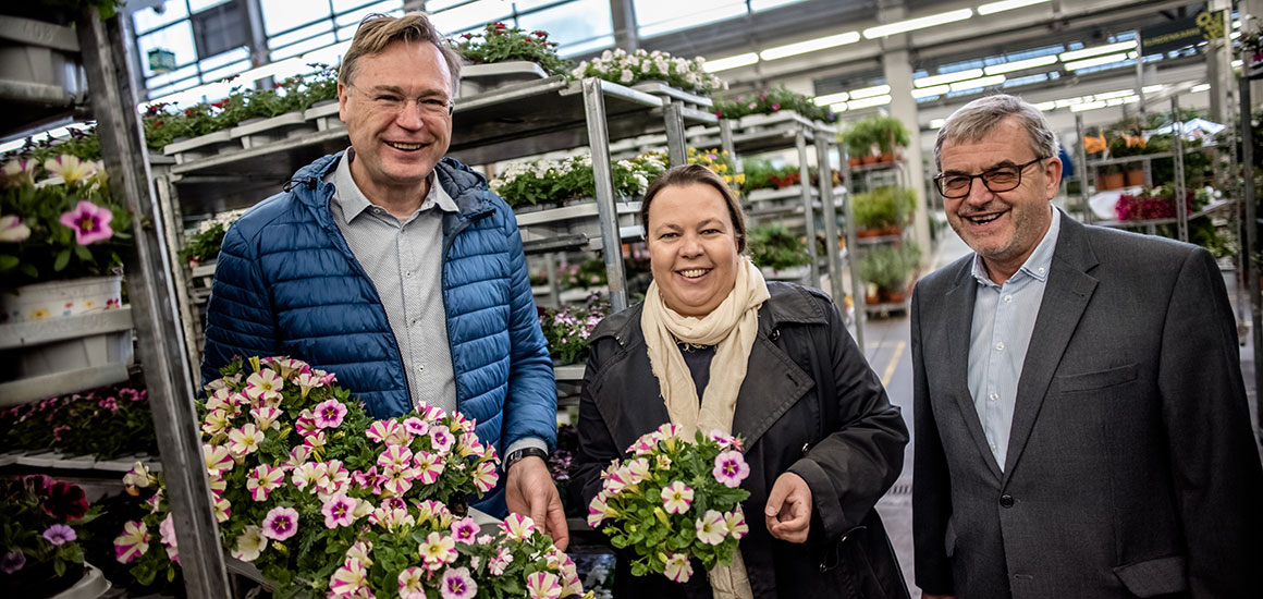 Blumengroßmarkt plant die Zukunft
