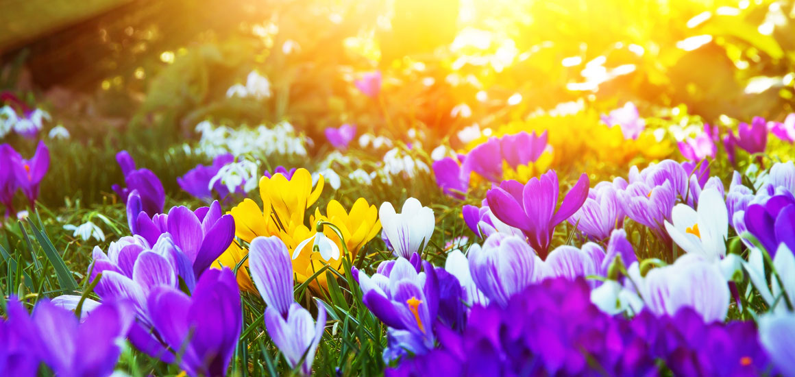 Frühjahrsaktion für Friedhof und Garten