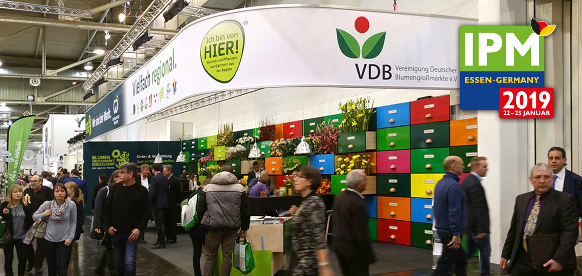 Blumengroßmarkt Düsseldorf – IPM Essen 2019